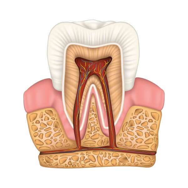 علت درد عصب دندان