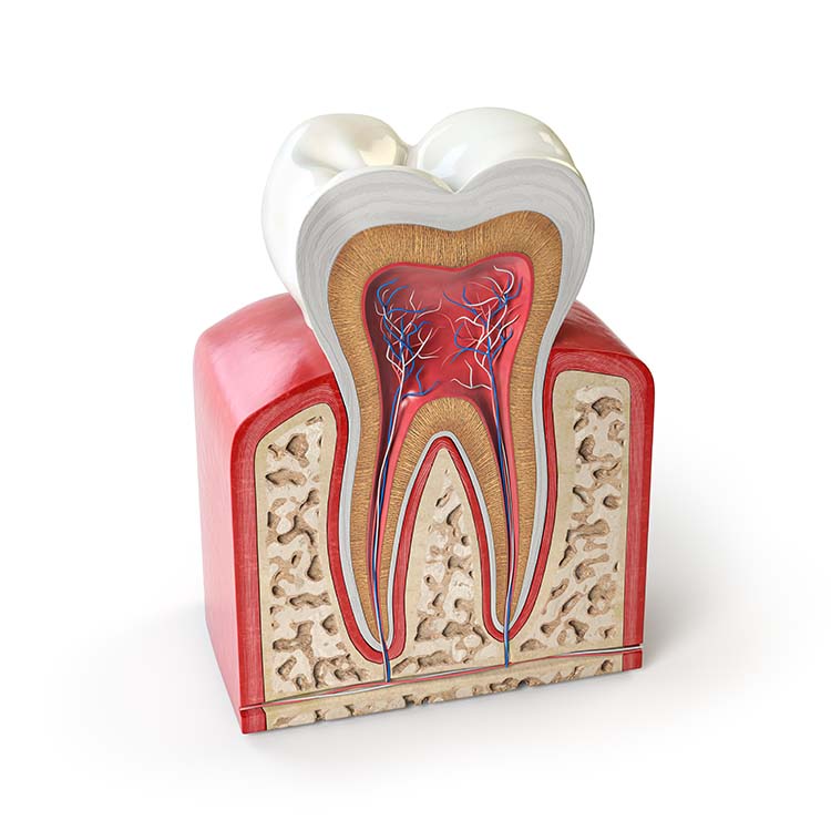 دلایل درمان مجدد ریشه دندان